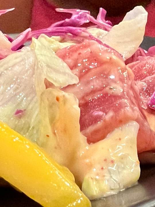 Gastro JAZ Elite Asteria