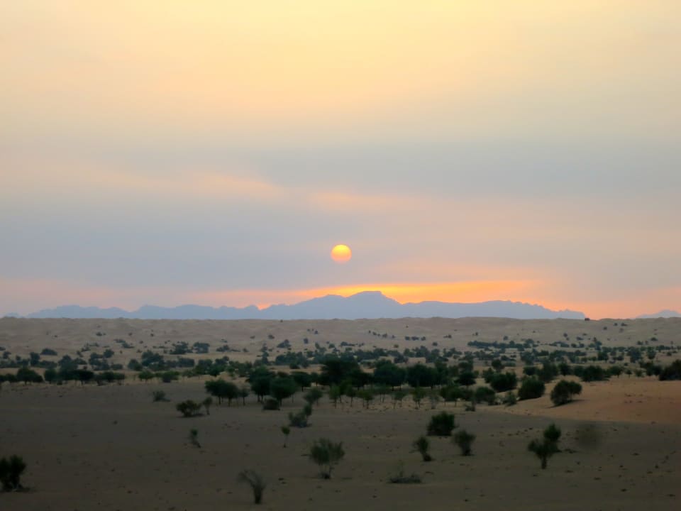 Ausblick Al Maha, A Luxury Collection Desert Resort & Spa