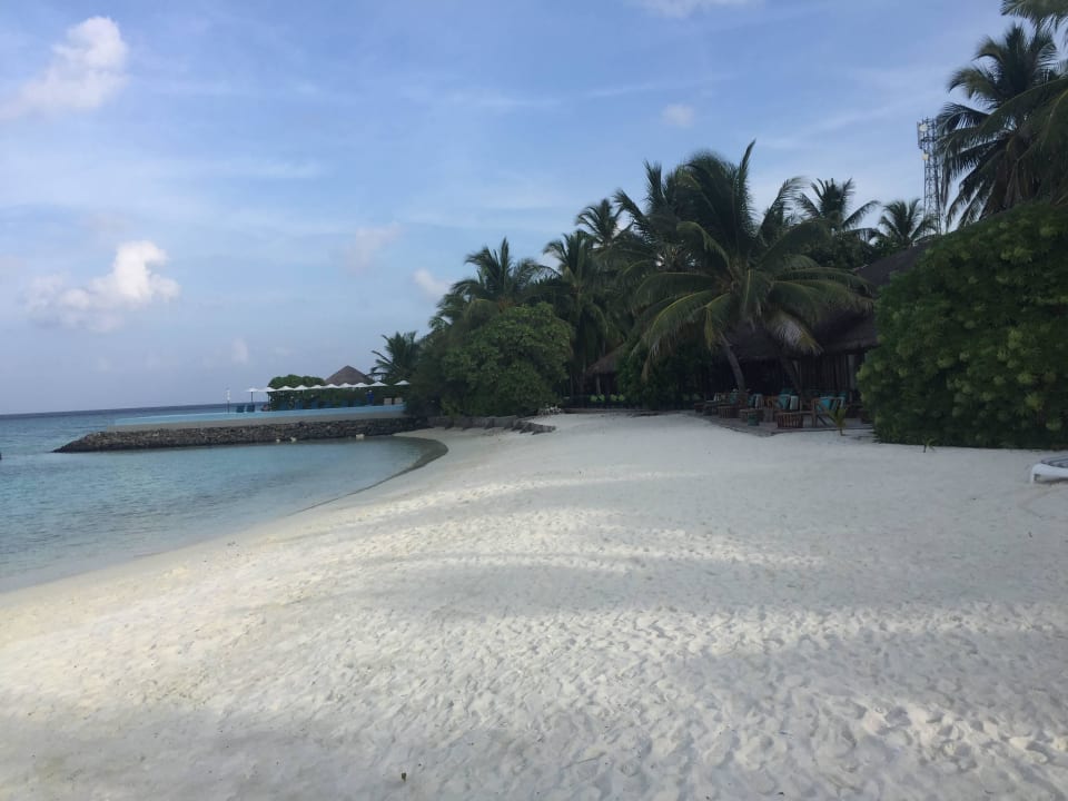 Strand Summer Island Maldives