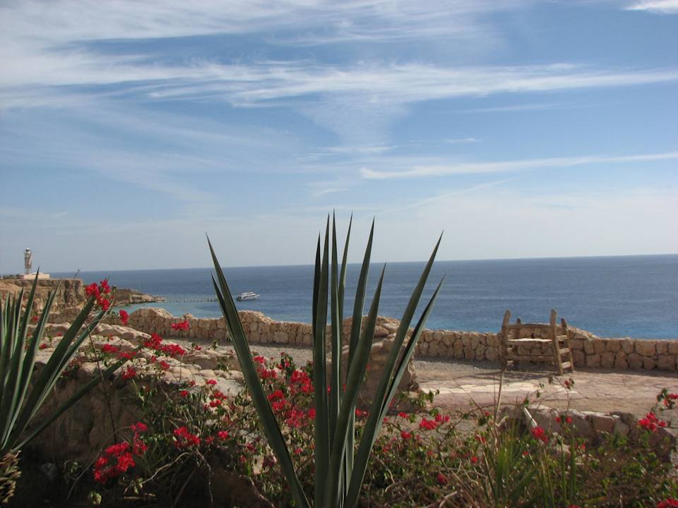 Widok na morze Hotel Faraana Heights Resort