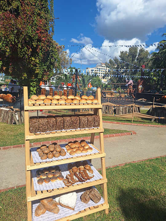 Gartenanlage Sidemarin Kirman Premium