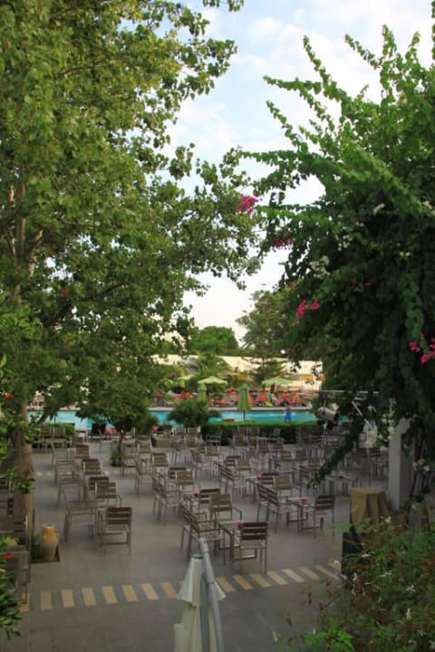 Sitzmglken vor der Bühne The Orangers Beach Resort and Bungalows