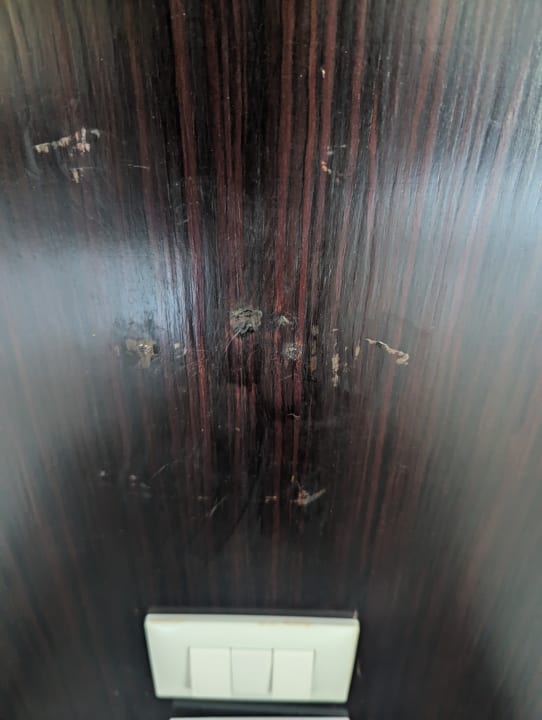 Zimmer Beach Albatros Resort