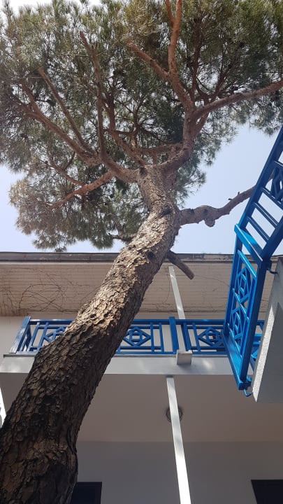 Sonstiges Belconti Resort Hotel