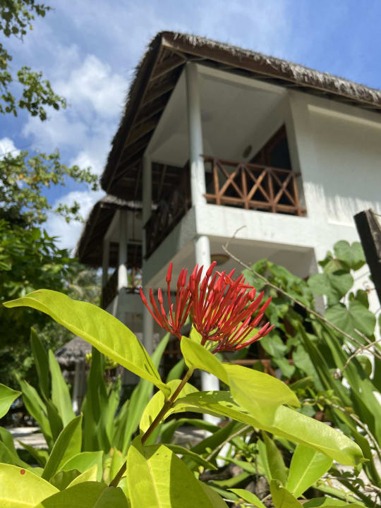 Außenansicht Fihalhohi Maldives