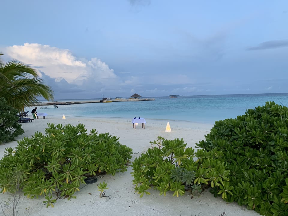 Strand Summer Island Maldives