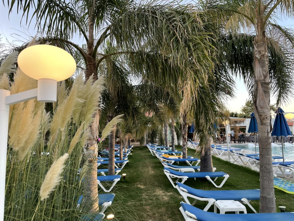 Pool Sentido Kyknos Beach Adults Only 16+