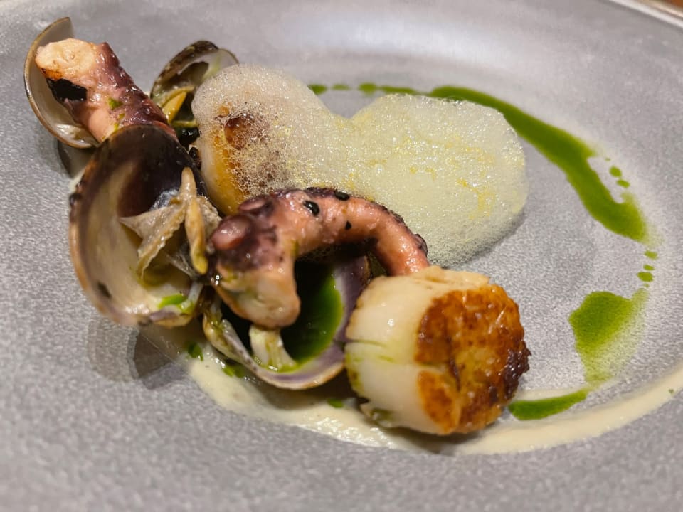 Gastro Acanthus Cennet Barut Collection