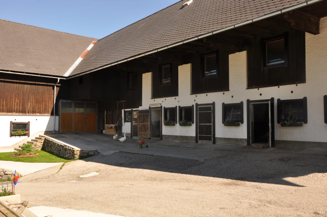 Stall/Wirtschaftstrakt Bauernhof Bruderhof