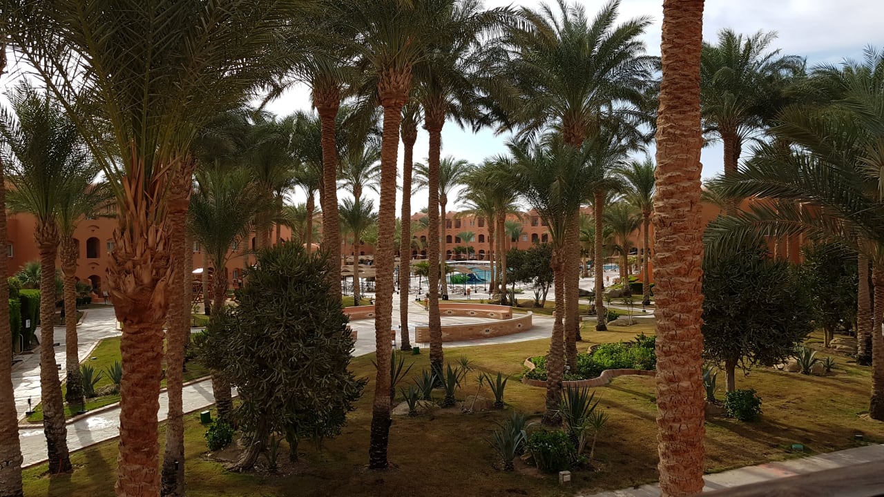 Ausblick Jaz Makadi Oasis Resort