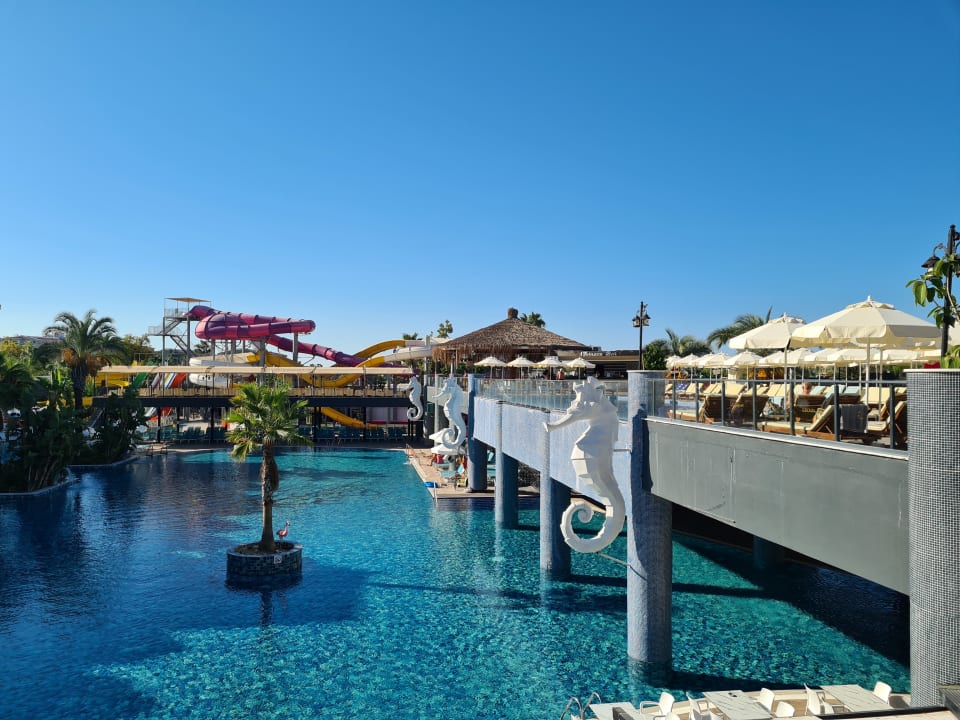 Pool Dream World Palace Hotel