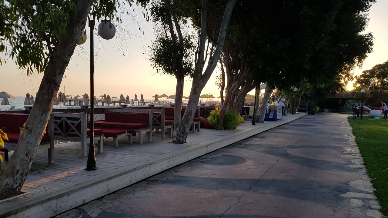 Gartenanlage Starlight Resort Hotel