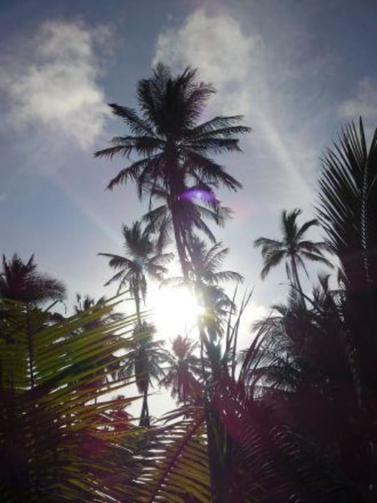 So schön Meeru Maldives Resort Island