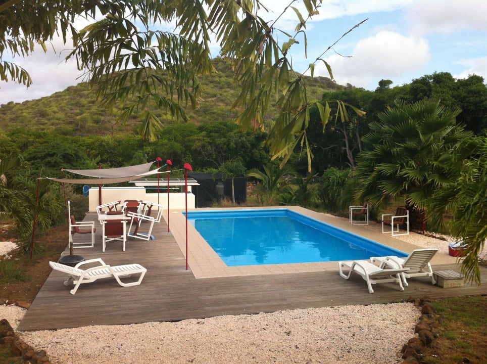 Der Pool Don Genaro Apartments