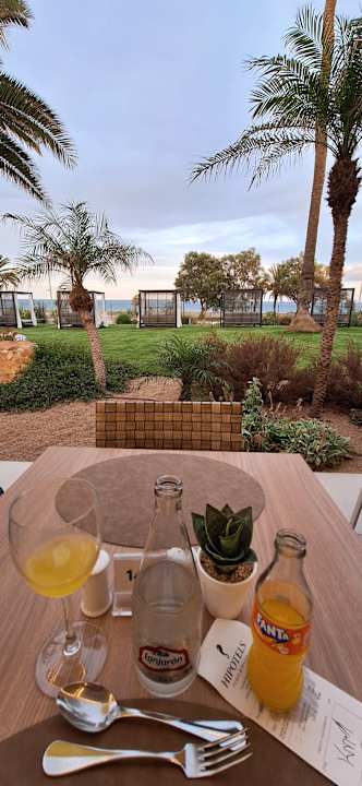 Gartenanlage Hipotels Flamenco