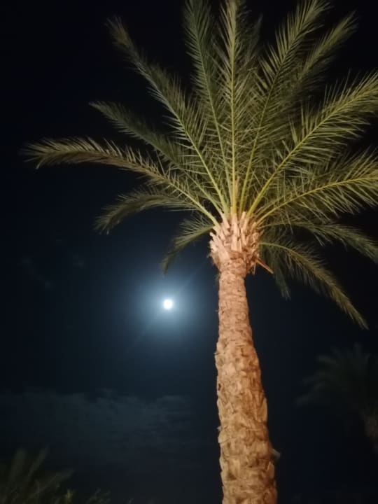 Ausblick Ghazala Beach
