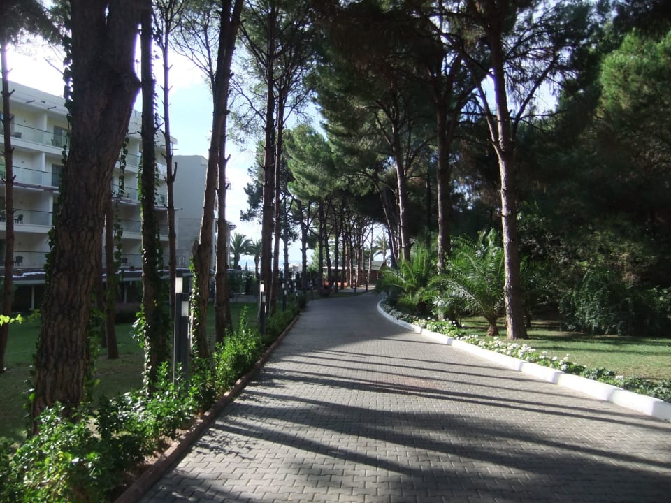 Landseite Paloma Pasha