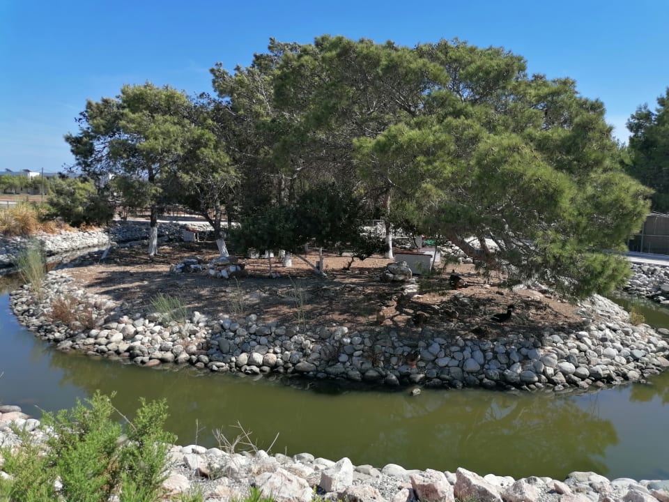 Gartenanlage Atlantica Plimmiri