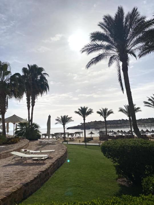 Gartenanlage Steigenberger Coraya Beach - Adults only