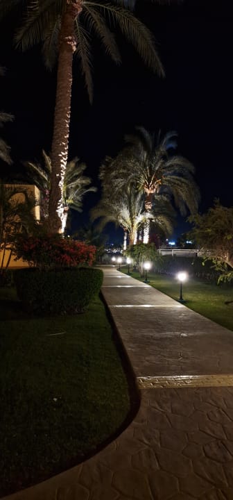 Gartenanlage Steigenberger Coraya Beach - Adults only