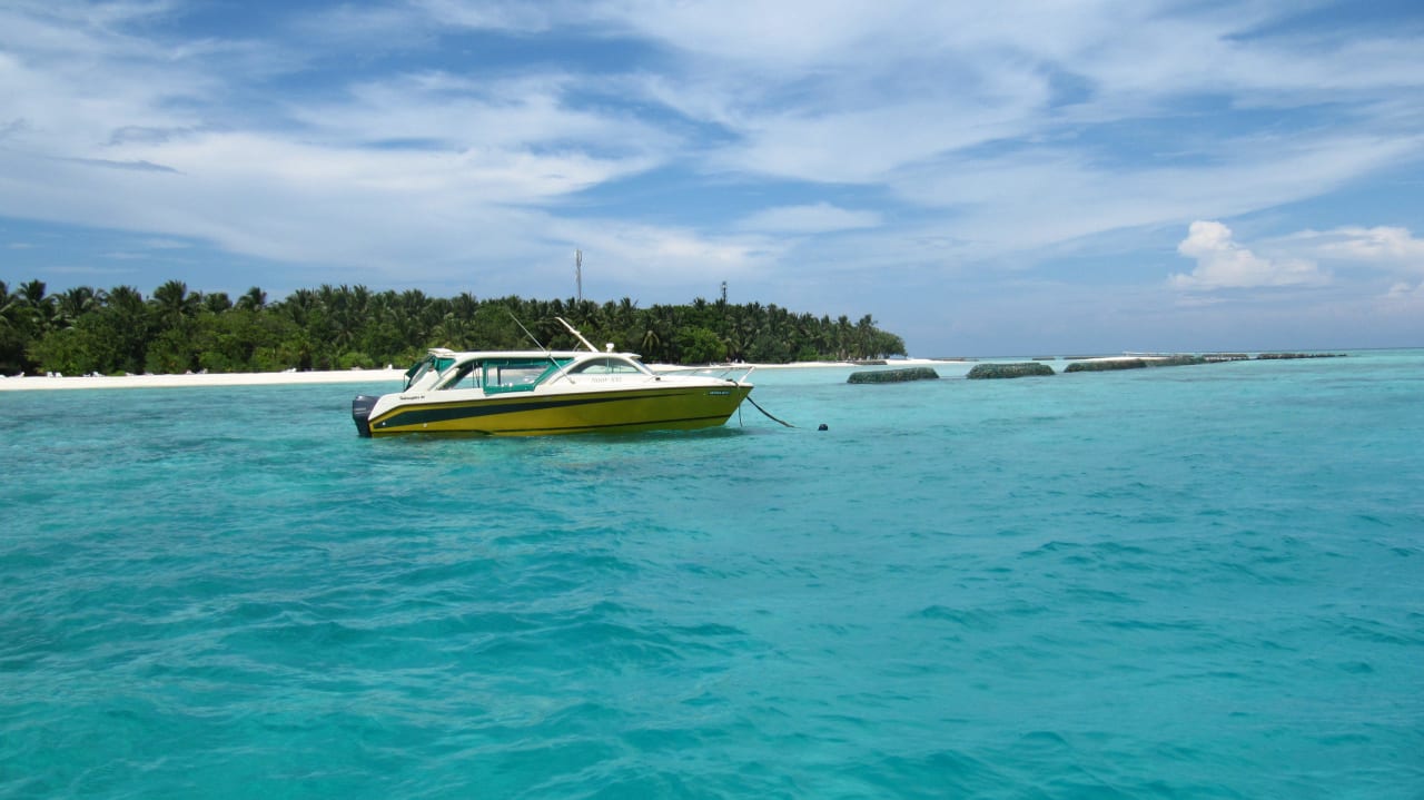 Blick auf die Insel Summer Island Maldives