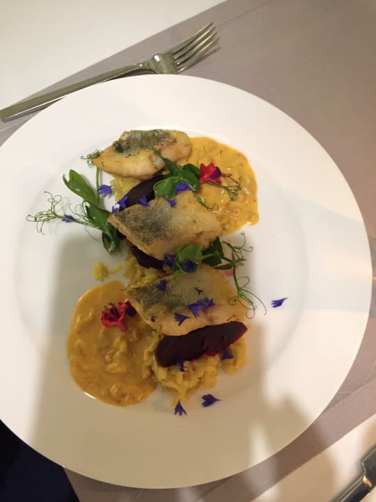 Gastro Marine & Ultra Marine