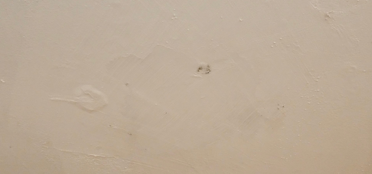 Zimmer Bull Dorado Beach & Spa