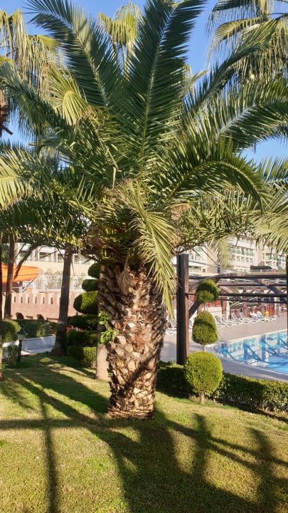 Gartenanlage Aydinbey Kings Palace & Spa