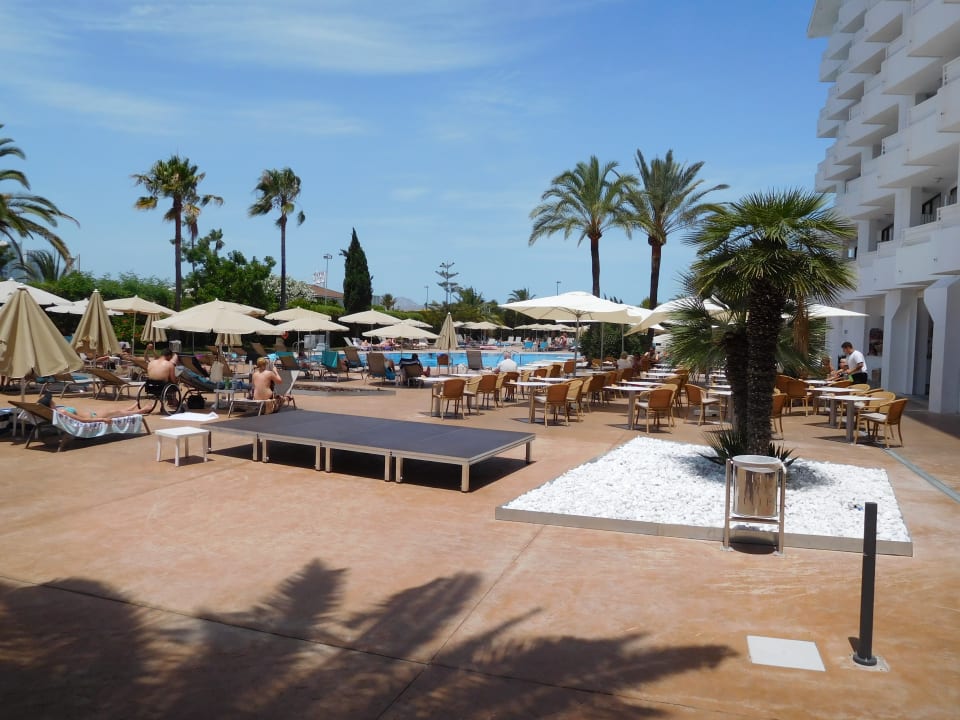 Pool Bordoy Alcudia Bay