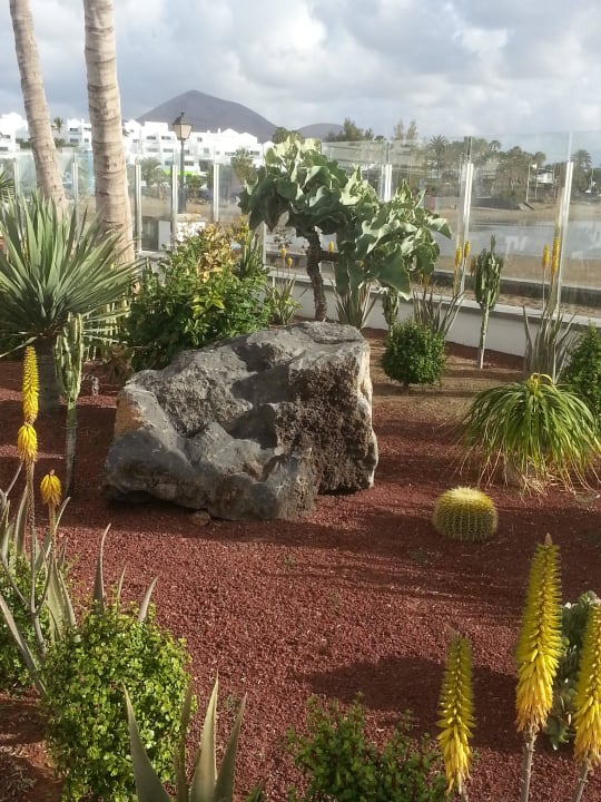 Blick auf Nachbarhotels Hotel Las Costas