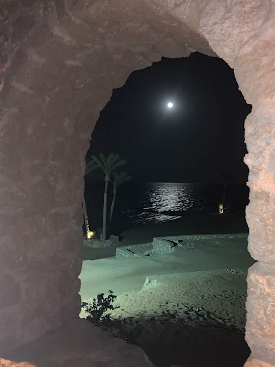 Ausblick Pickalbatros Citadel Resort