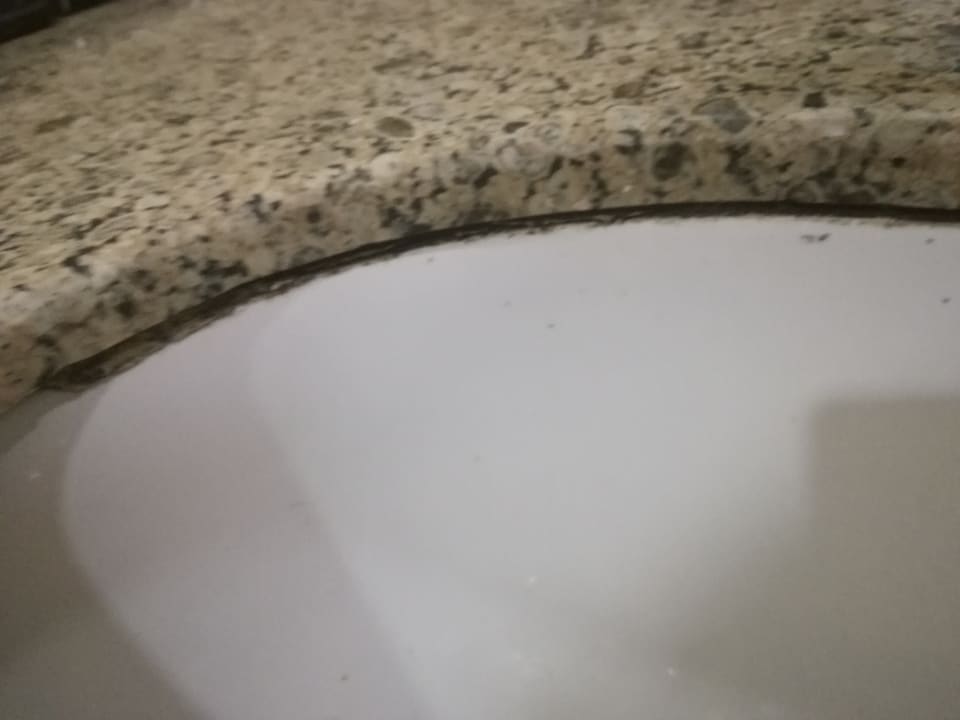 Zimmer Parrotel Aqua Park Resort