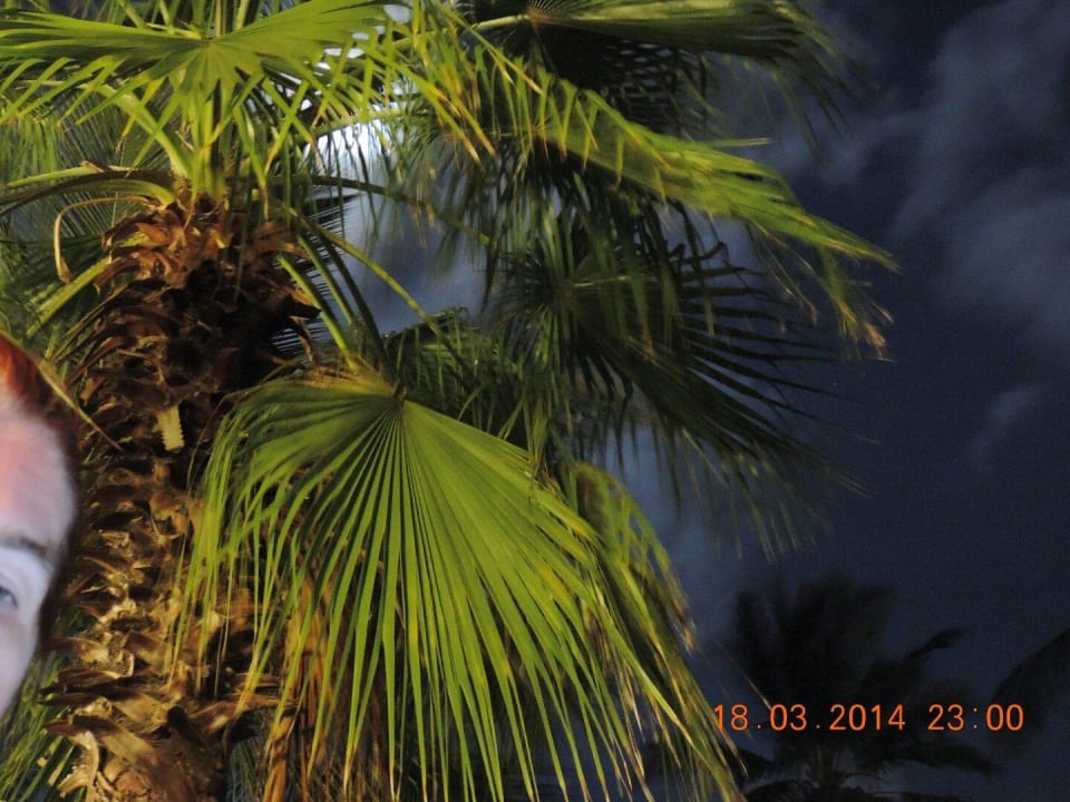 Garten Bahari Beach Hotel