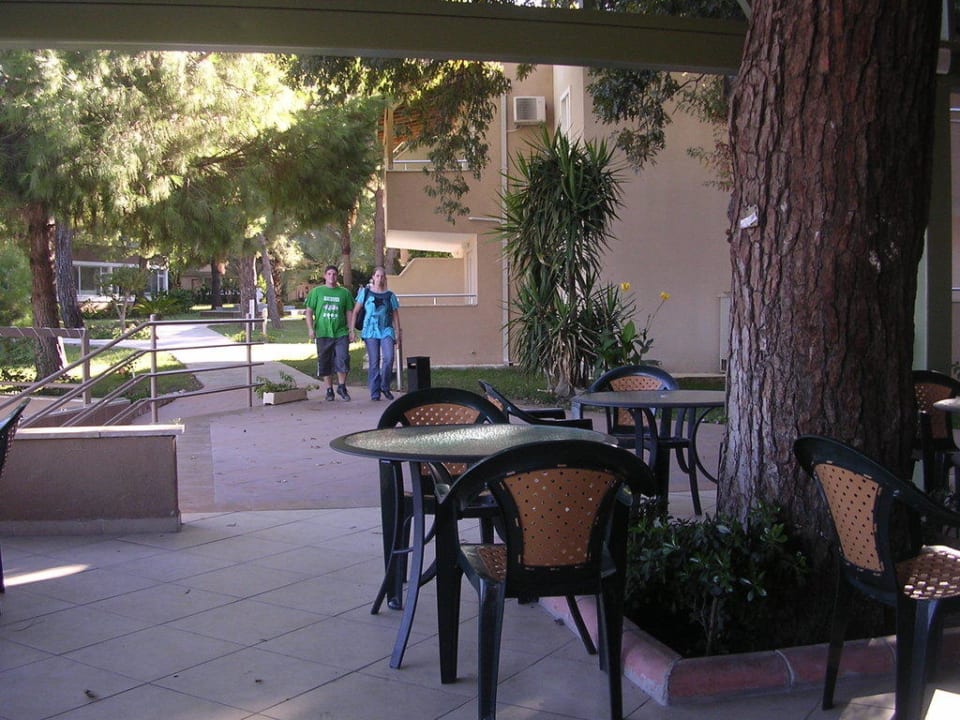 Snackbar Club Sidelya Hotel