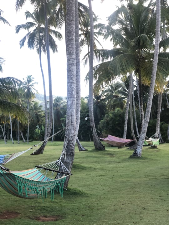 Gartenanlage Viva V Samana by Wyndham – Adults Only