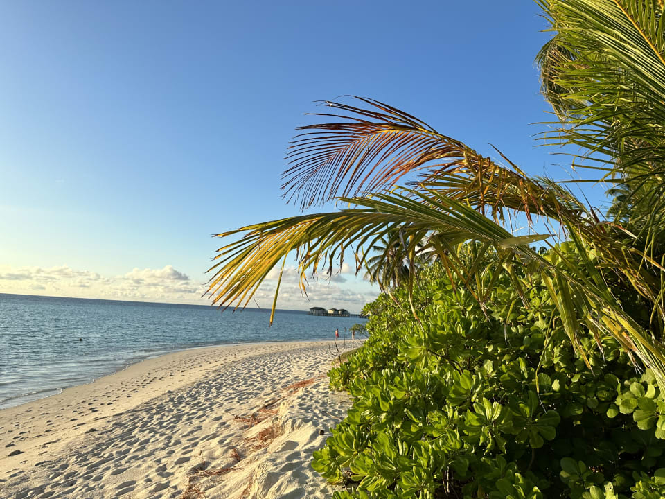 Strand NH Collection Maldives Havodda Resort