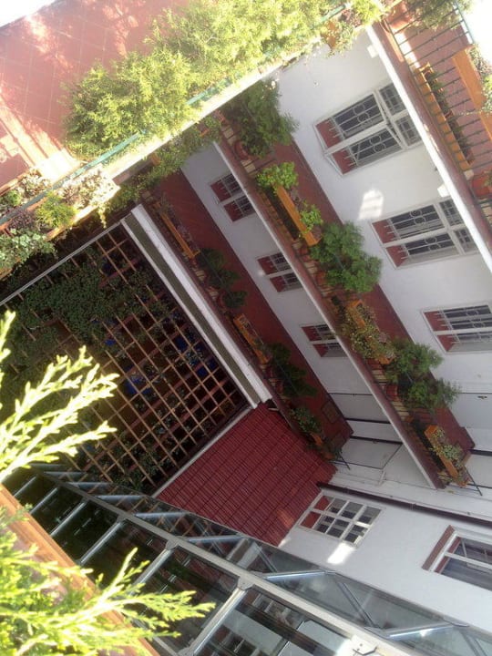 Вид из окна  Hotel Salvador