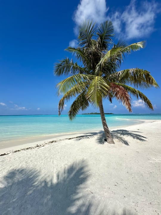 Strand Le Meridien Maldives Resort & Spa