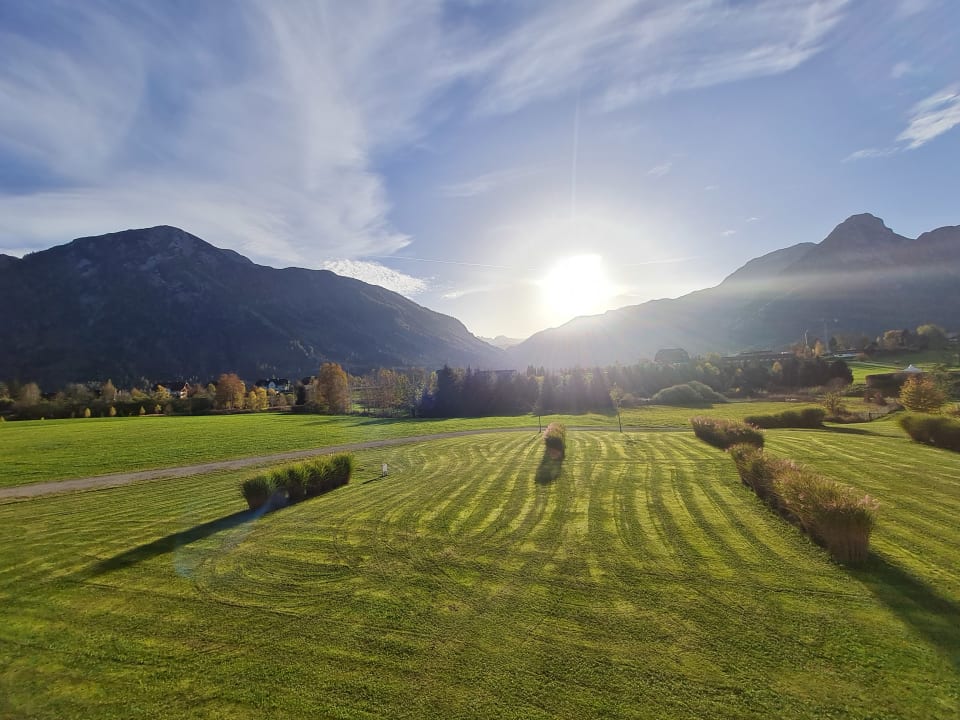 Gartenanlage Narzissen Vital Resort