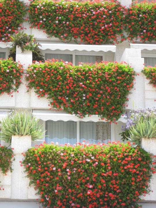 Balkon Landmar Playa La Arena