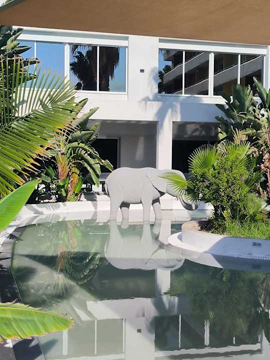 Pool Esperides Beach Resort