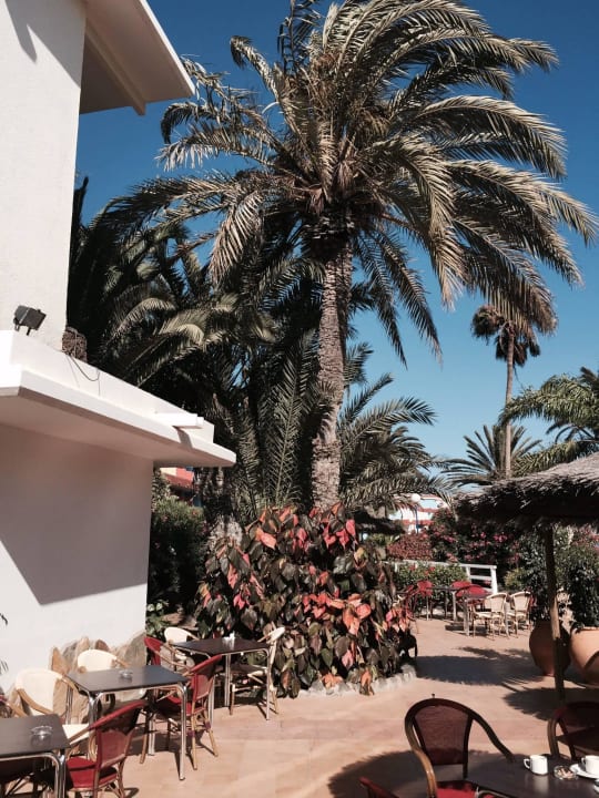 Terrasse Restaurant SBH Fuerteventura Playa