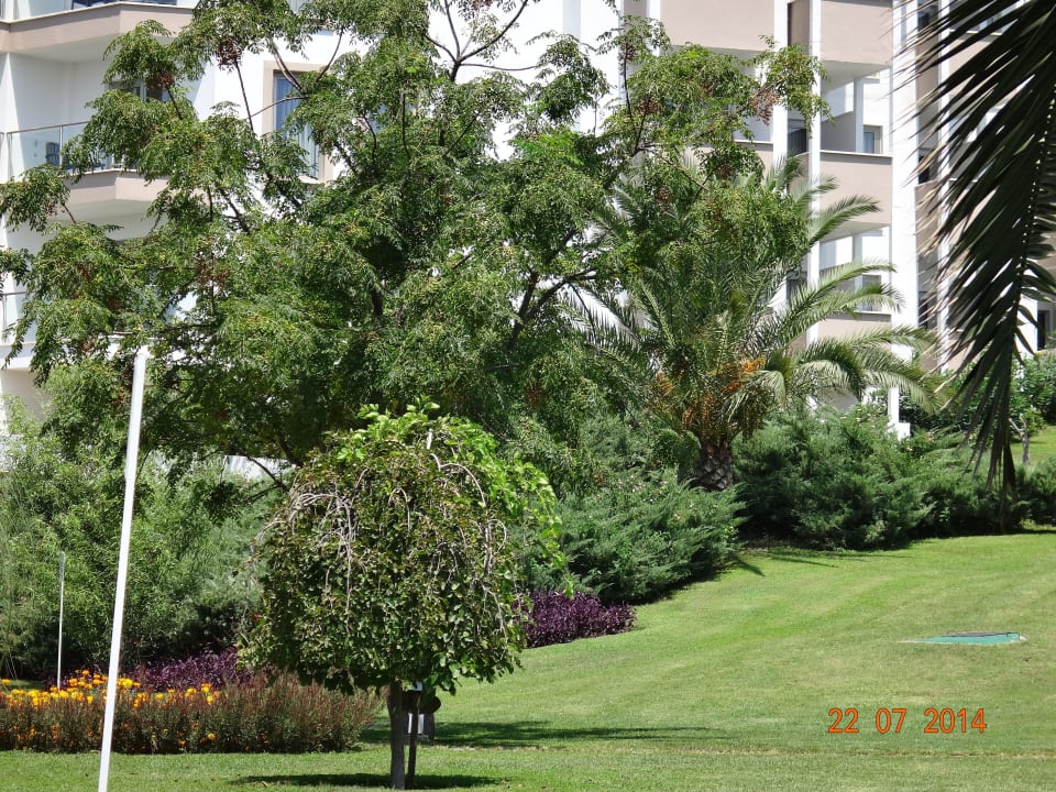 Arcanus Side Resort Arcanus Hotels Sorgun