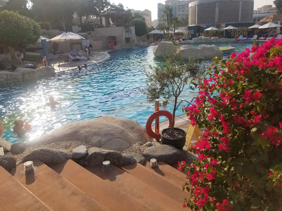 Pool Grand Hyatt Dubai