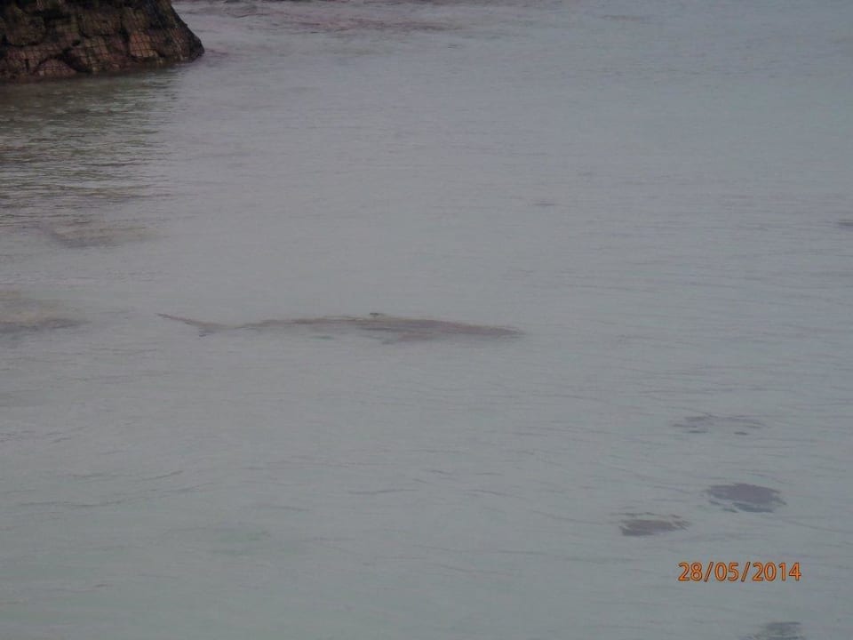 Täglich am Ufer Thulhagiri Island Resort