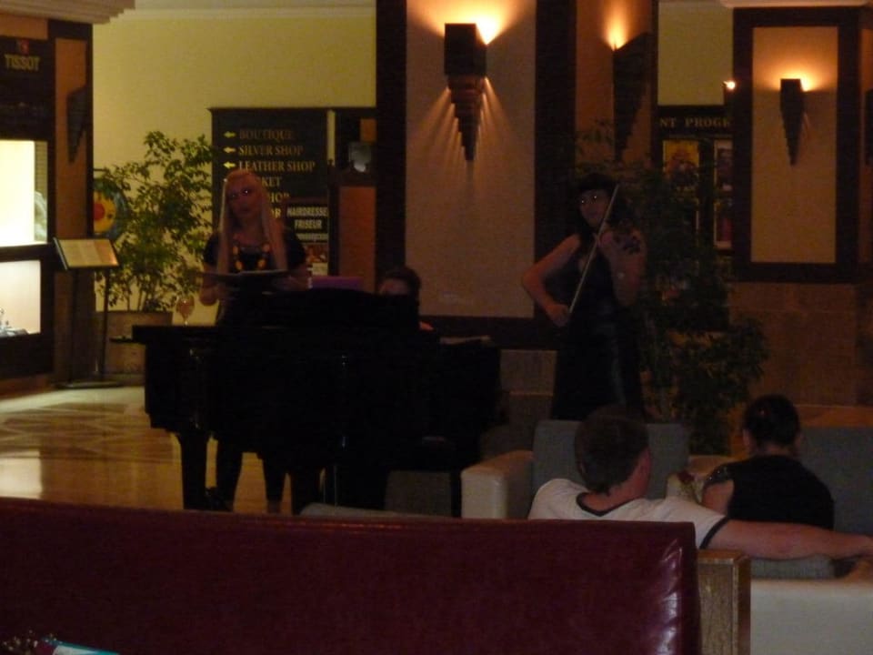 Koncert Papillon Ayscha