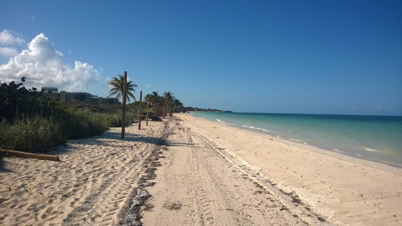 Weitläufiger Strand Hotel Melia Cayo Coco - Adults only