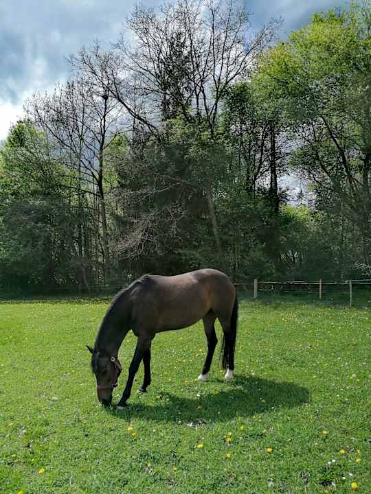 Sonstiges Ferienhof Babel