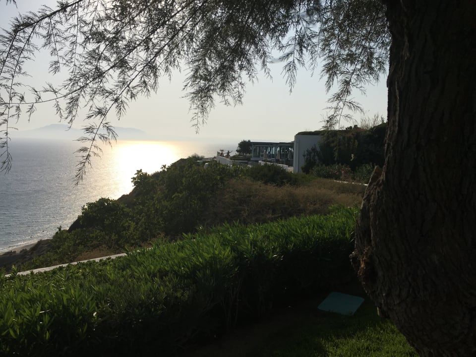 Ausblick ROBINSON DAIDALOS