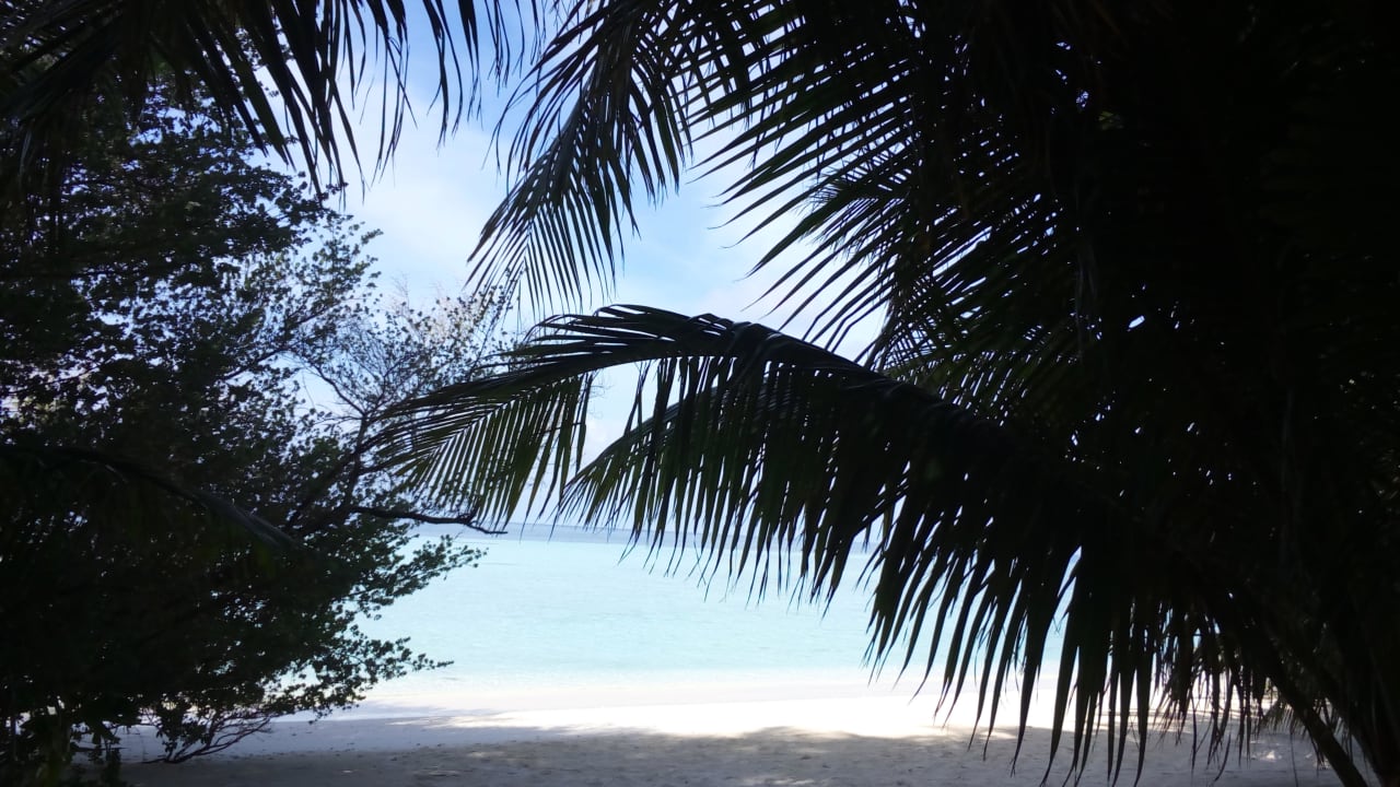 Strandausblick Embudu Village